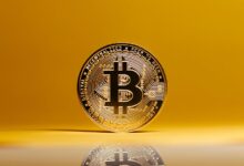 crypto halving news coverage