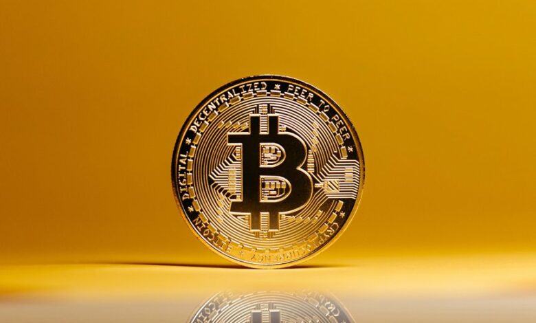 crypto halving news coverage