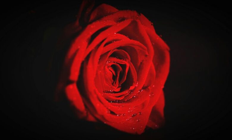 lovestruck jitters in music