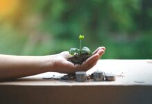 sustainable financial growth strategies