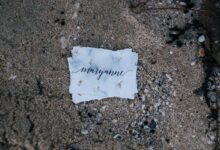 mysterious identity exploration revealed