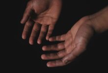 symbolic messages from nature