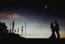 wild moments from influencers