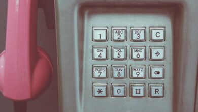 list of phone numbers