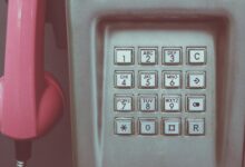 search for contact information