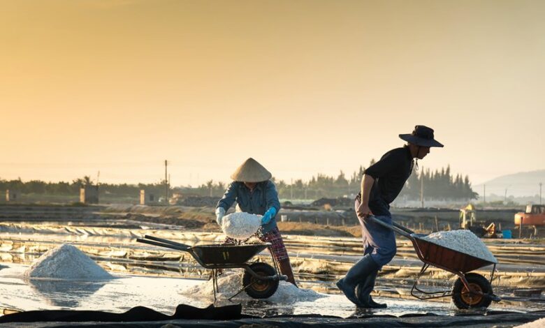 maximize online service tools